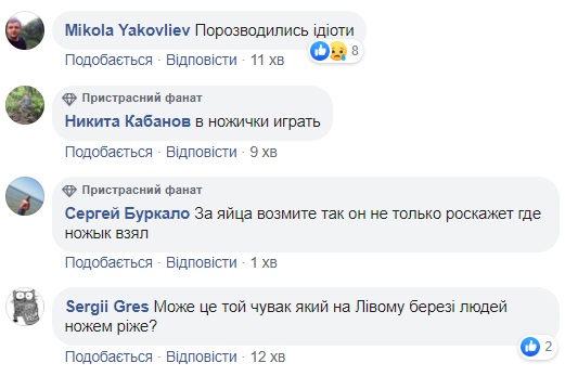 У Києві на дитячому майданчику зловили неадеквата з ножем: подробиці НП