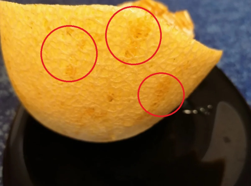 Как выбрать самую сладкую и сочную дыню: продавец поделился секретом