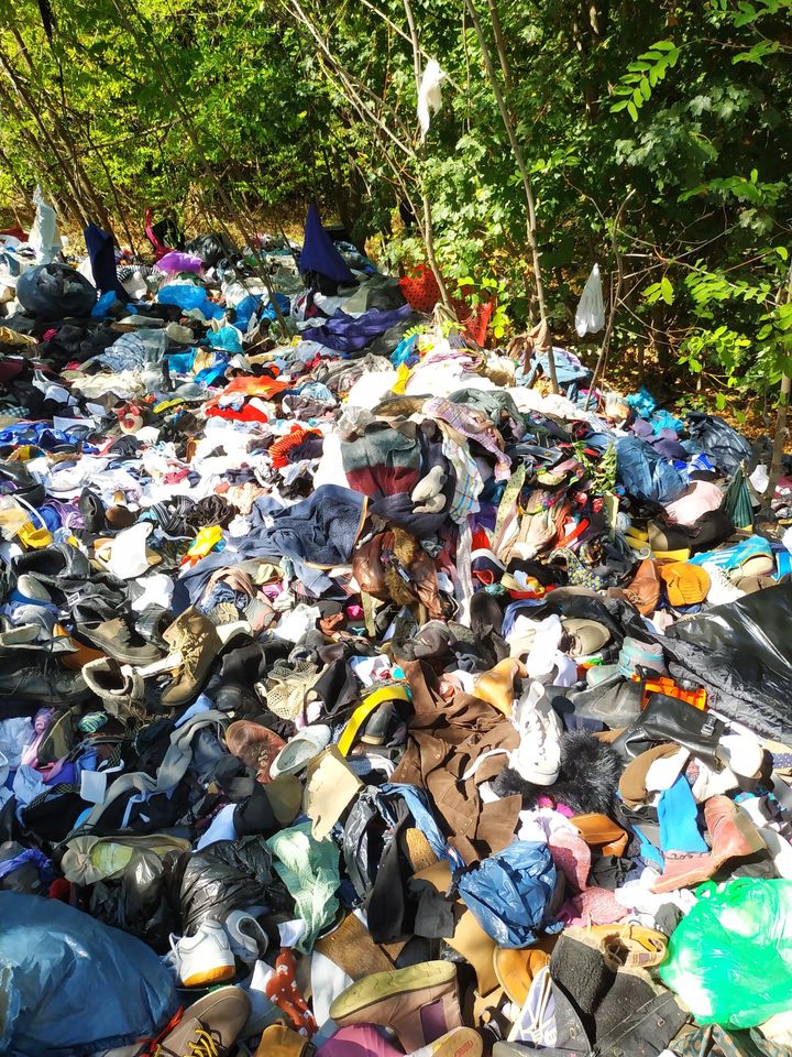 Апофеоз безглуздя: у лісі під Дніпром виявили дивну знахідку (фото)