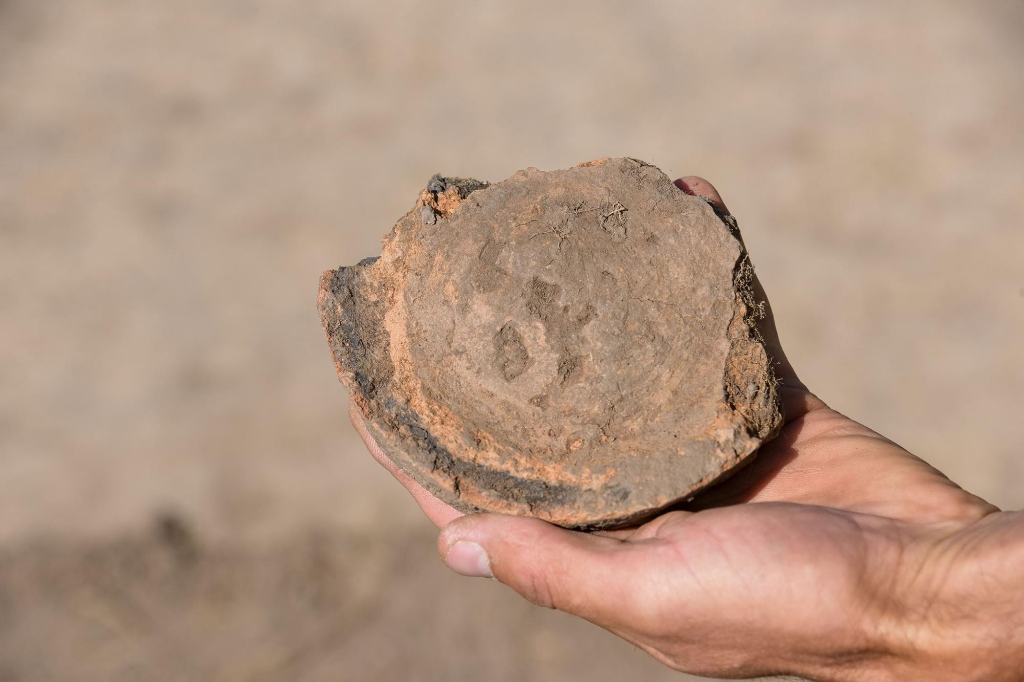 Під Львовом знайшли поселення найдавнішої культури: артефактам понад 7 тисяч років