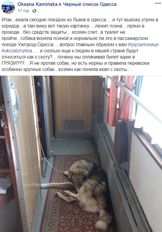 Ставлення як до худоби: Укрзалізниця потрапила в новий скандал (фото)