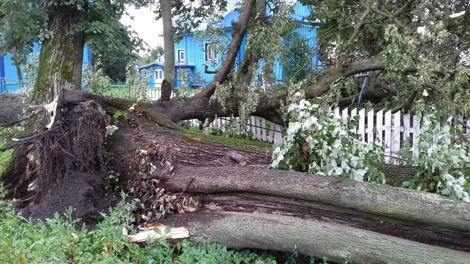 Повалені дерева і затоплені вулиці: під Рівним розбушувалася негода