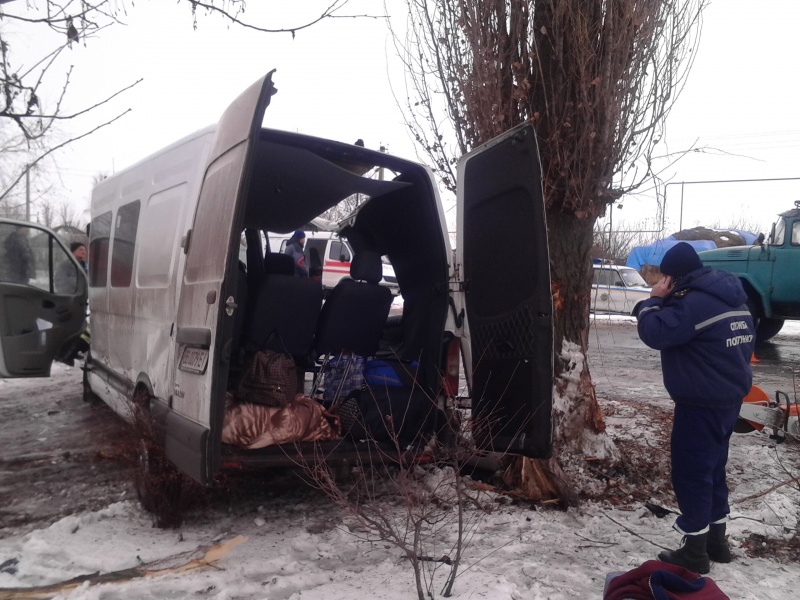 В Луганской области маршрутка въехала в дерево, пострадали 10 человек