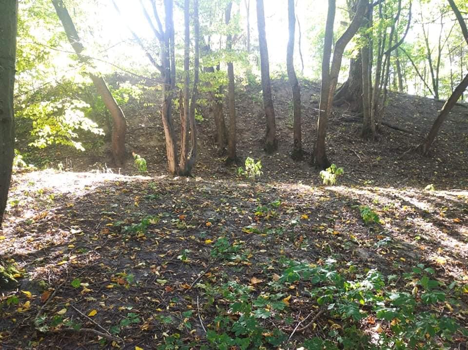 Під Житомиром знайшли таємне місто часів Київської Русі