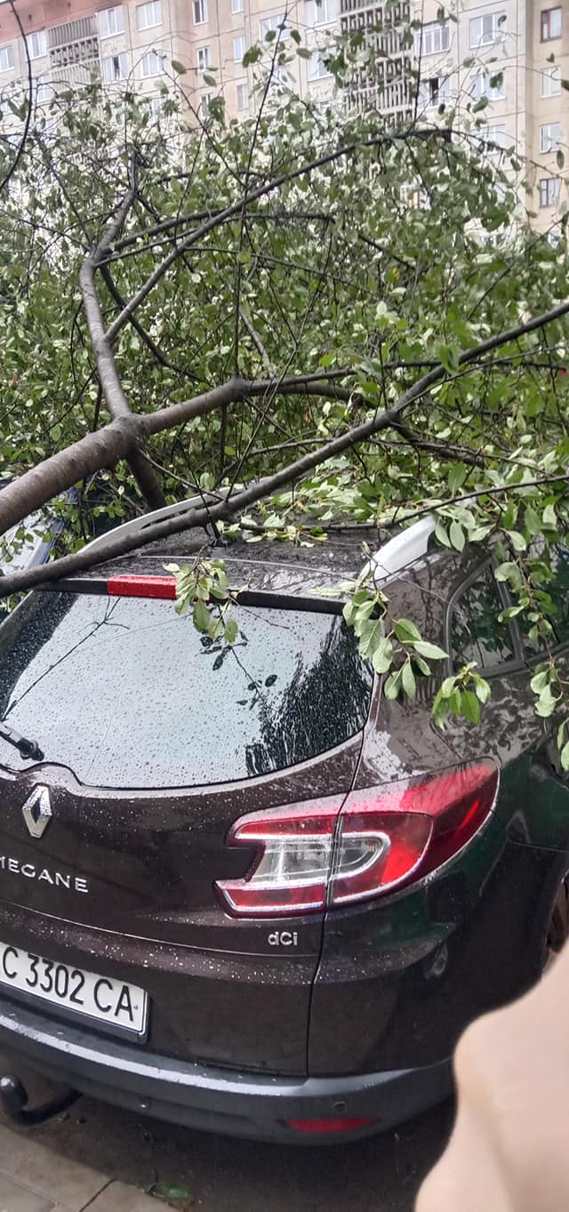 Сніг, потоп і повалені дерева: фото і відео наслідків страшної негоди в Україні