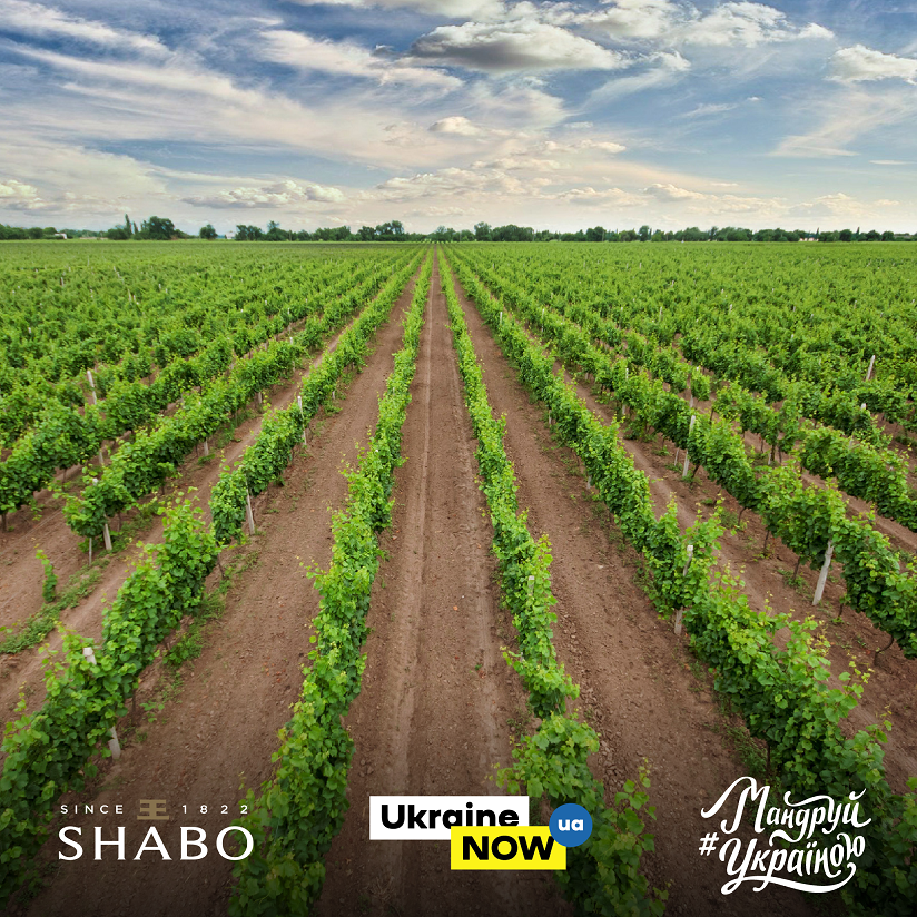 Бренд UkraineNow просит о помощи предпринимателей