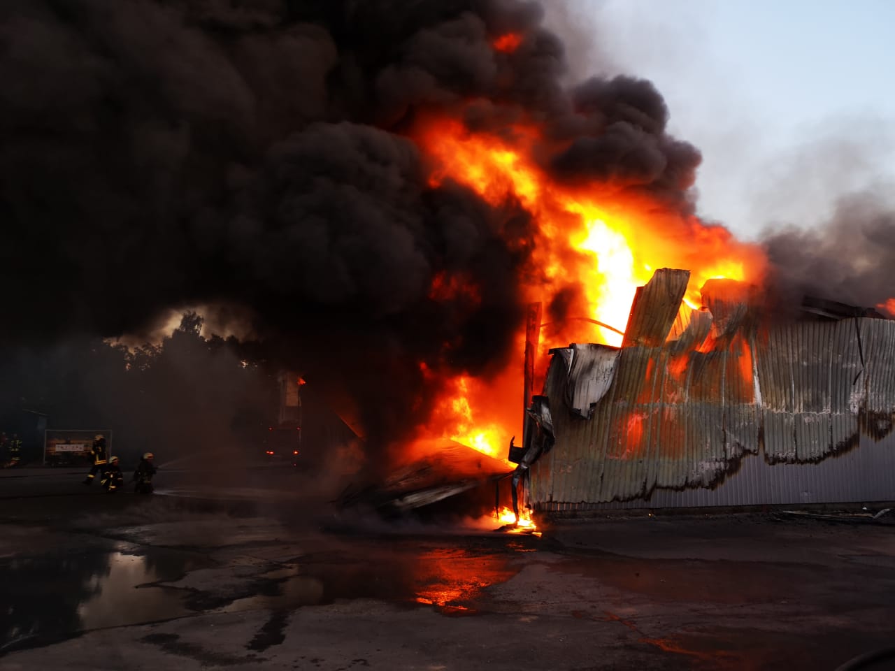 Пожар под Киевом: жителей столицы предупредили об опасности для здоровья