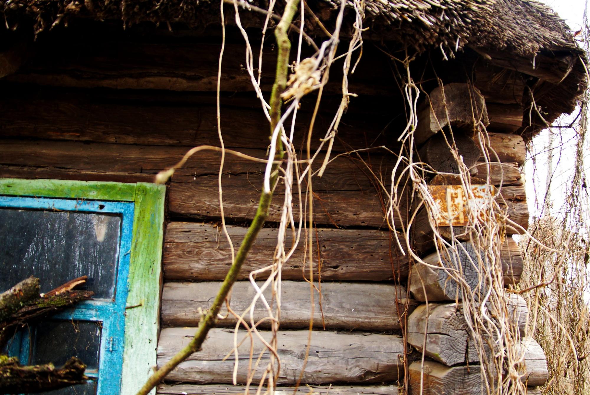 У Чорнобилі виявили унікальну хатинку: може, там живе Лісовик?