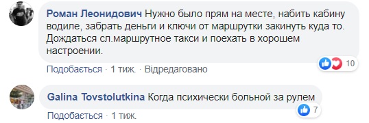У Дніпрі маршрутник вигнав всіх пасажирів через дитину-інваліда (відео)