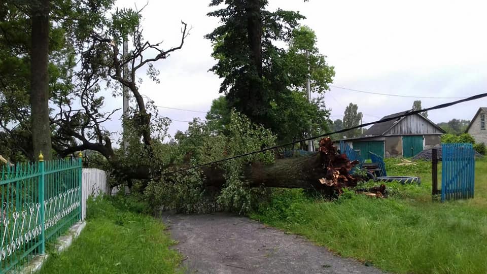 Повалені дерева і затоплені вулиці: під Рівним розбушувалася негода