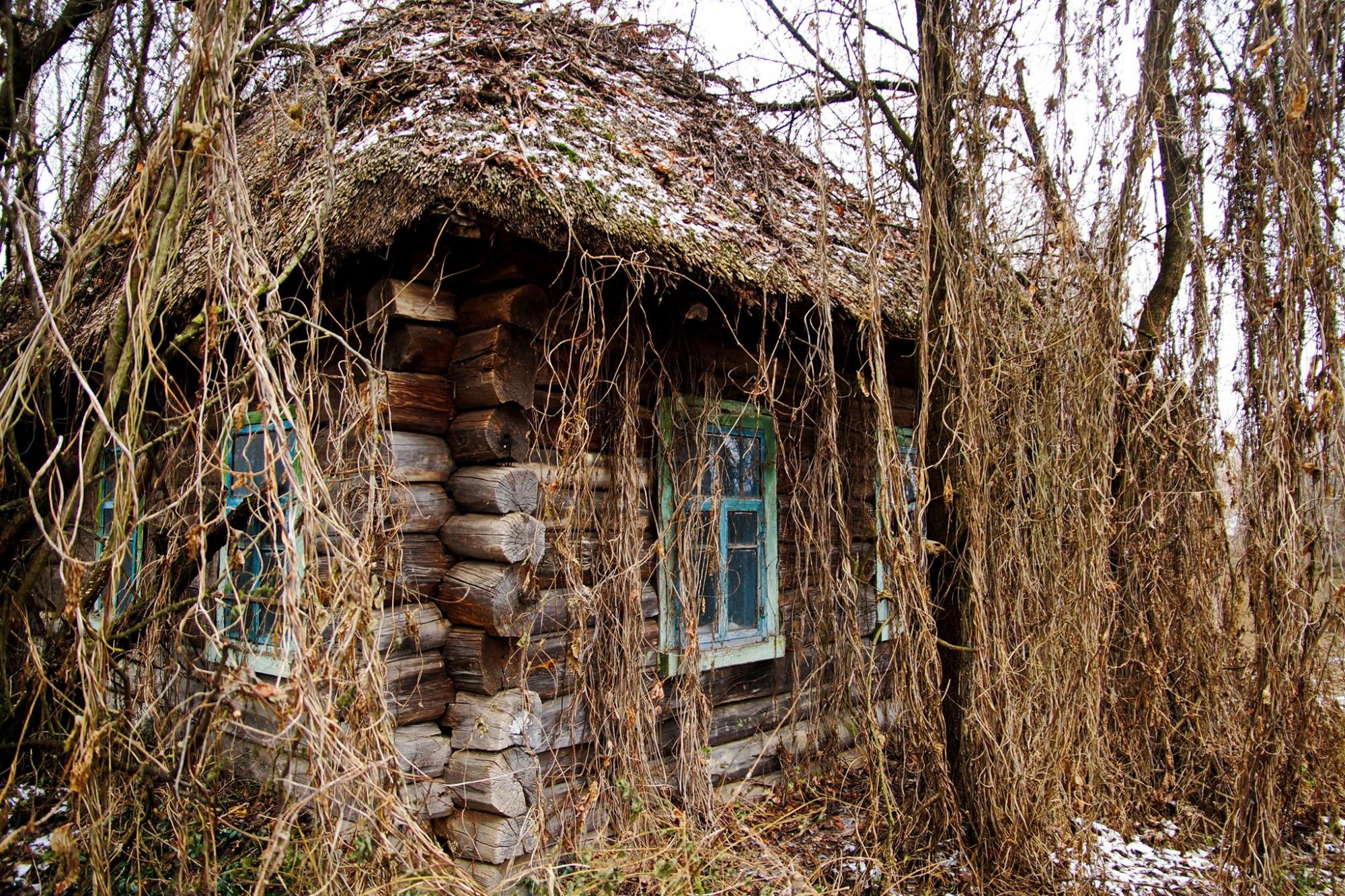У Чорнобилі виявили унікальну хатинку: може, там живе Лісовик?