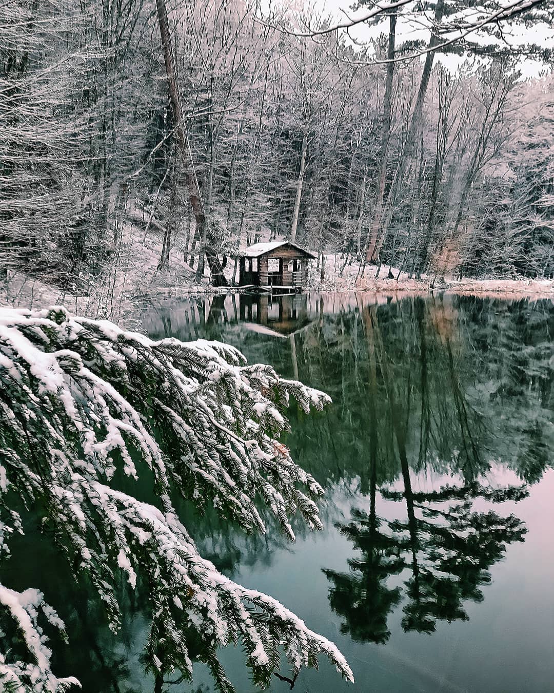 В Крим прийшла справжня зима: від краси перехоплює подих (фото, відео)
