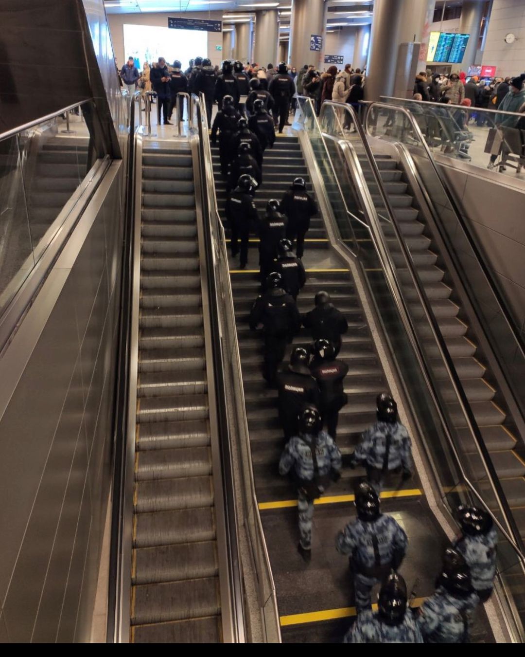 Навальний прилетів до Росії в аеропорту ажіотаж