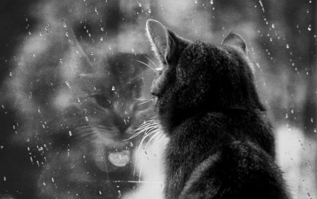 Підсумки дня: 7 квітня