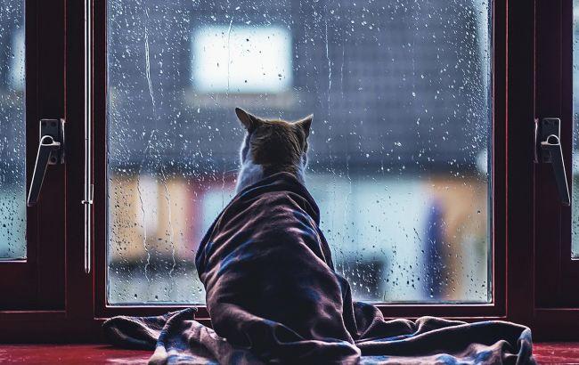 Итоги дня: 6 апреля