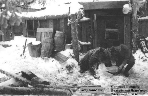 Спас медвежонка от российских оккупантов: сеть поразила история про украинского бойца (фото)