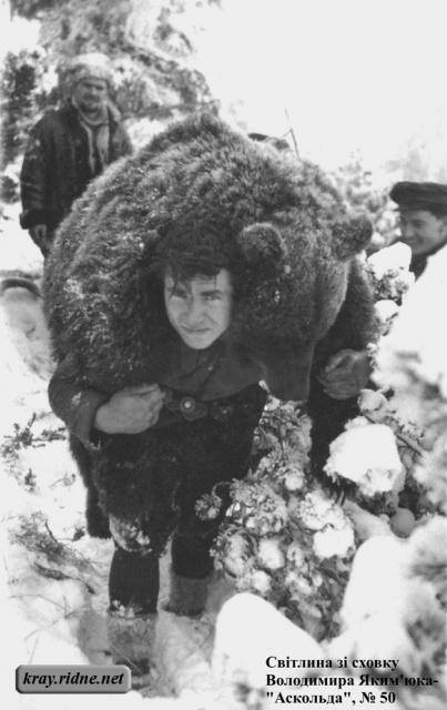 Спас медвежонка от российских оккупантов: сеть поразила история про украинского бойца (фото)