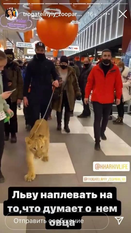 Украинский супермаркет попал в скандал: развлекал покупателей измученным животным