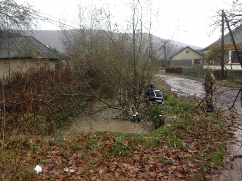 В ГСЧС заявили о подтоплении 30 домохозяйств в Закарпатье из-за дождей
