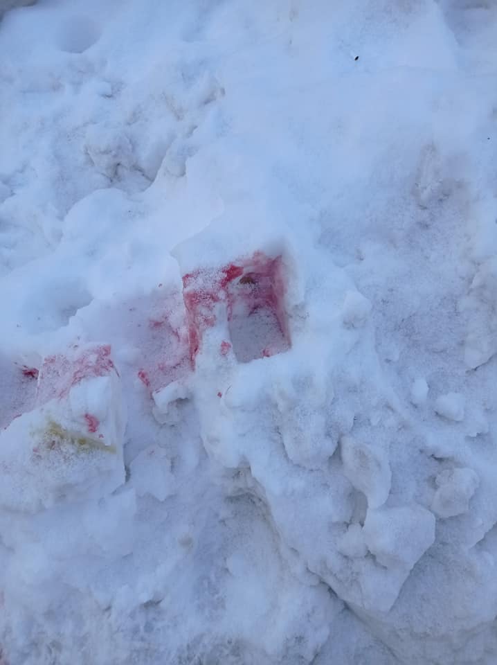 По всему Киеву разбросана отрава для собак: остерегайтесь &quot;розового снега&quot;