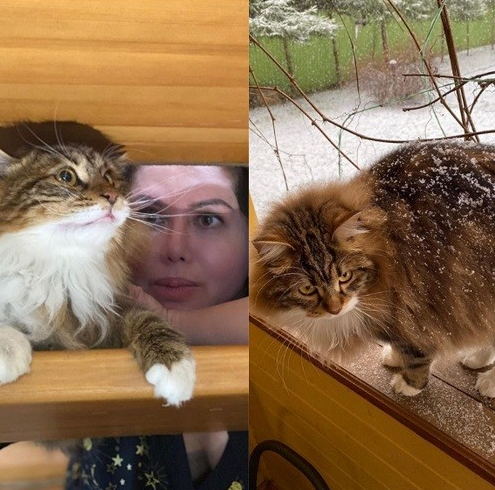 Коханець Заворотнюк живе в садибі з двійником &quot;няні&quot; та котом Пинею (фото)