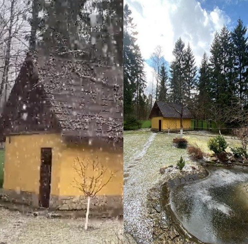 Коханець Заворотнюк живе в садибі з двійником &quot;няні&quot; та котом Пинею (фото)