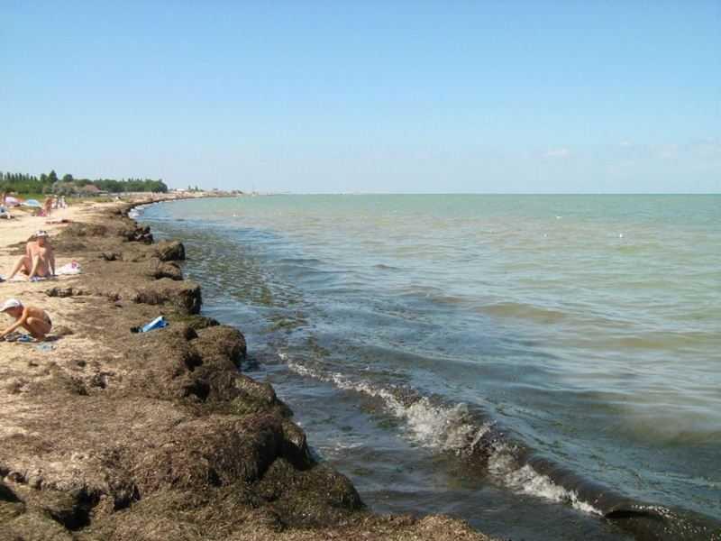 Морское побережье Крыма превращают в зловонное болото: вонь жуткая