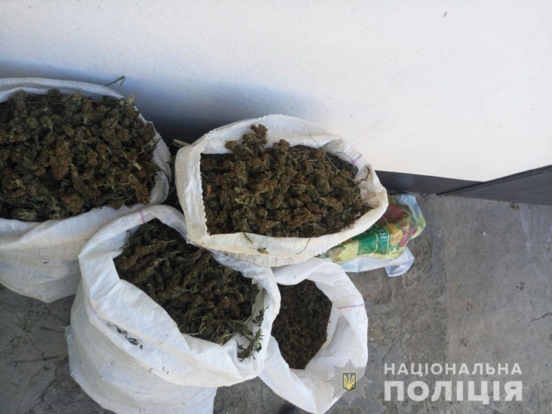 У Херсонській області затримали наркоторговців з 18 кг марихуани