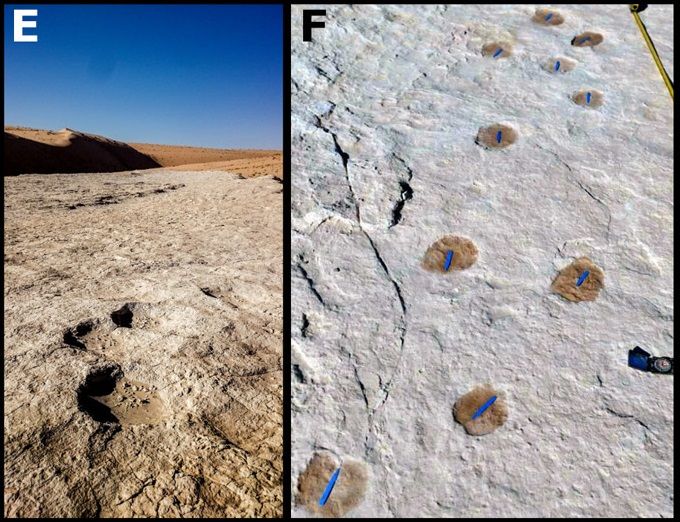 У Саудівській Аравії знайшли відбитки ніг древніх людей: жили 120 тис. років тому