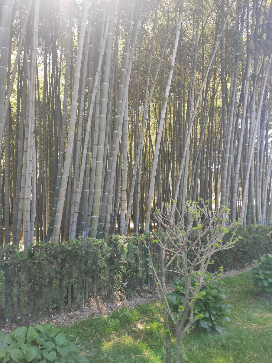 Грузия за шесть дней: как все успеть и на чем можно сэкономить