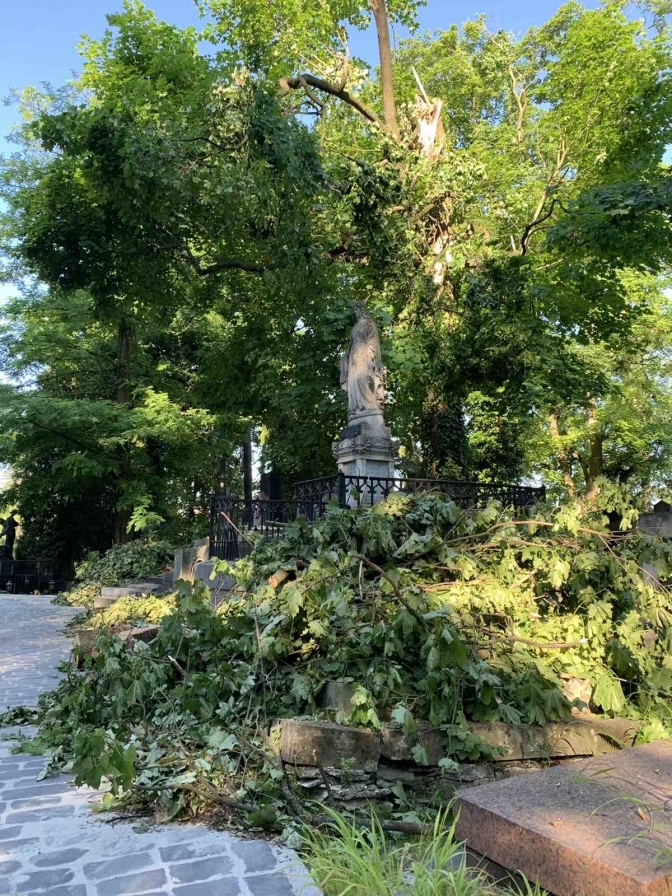 Во Львове ураган разрушил легендарное Лычаковское кладбище: восстановлению не подлежит