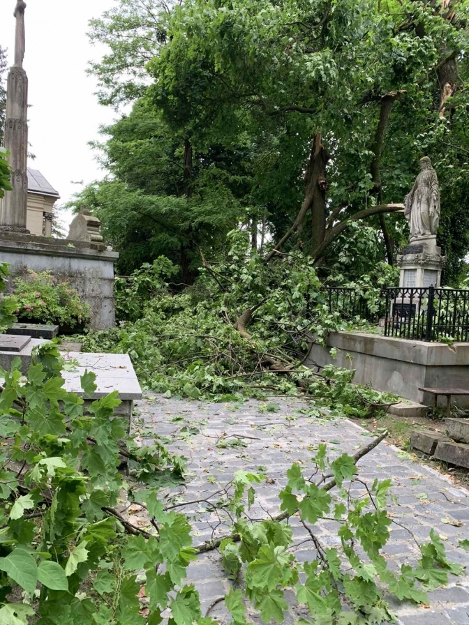 Во Львове ураган разрушил легендарное Лычаковское кладбище: восстановлению не подлежит