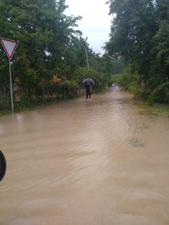 На Закарпатті зливи затопили дороги і будинки: люди по коліна у воді (відео)