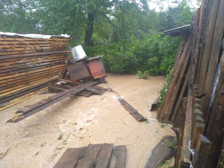 На Закарпатті зливи затопили дороги і будинки: люди по коліна у воді (відео)