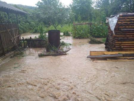 На Закарпатті зливи затопили дороги і будинки: люди по коліна у воді (відео)