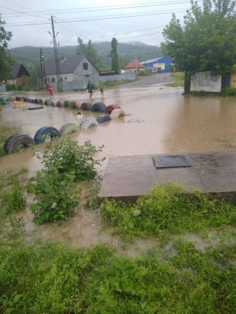 На Закарпатті зливи затопили дороги і будинки: люди по коліна у воді (відео)