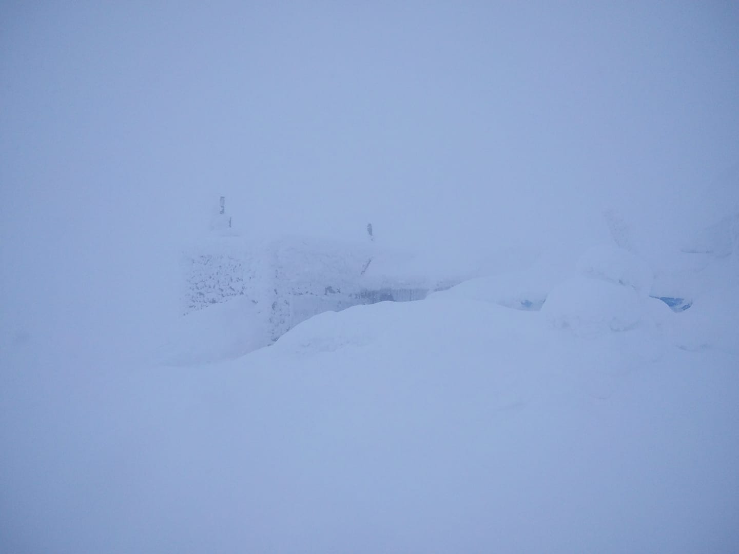 Карпаты накрыла метель и засыпало снегом: зрелищное видео внезапной зимы
