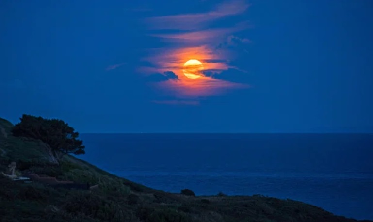Осетрова повня: з'явилися потужні фото і відео рідкісного явища
