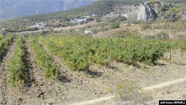 В Крыму исчезнут все озера: ученые озвучили фатальный прогноз