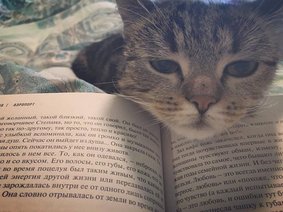 Будущая нардеп от &quot;Слуги народа&quot; и главный антикоррупционер Рады удивила декларацией