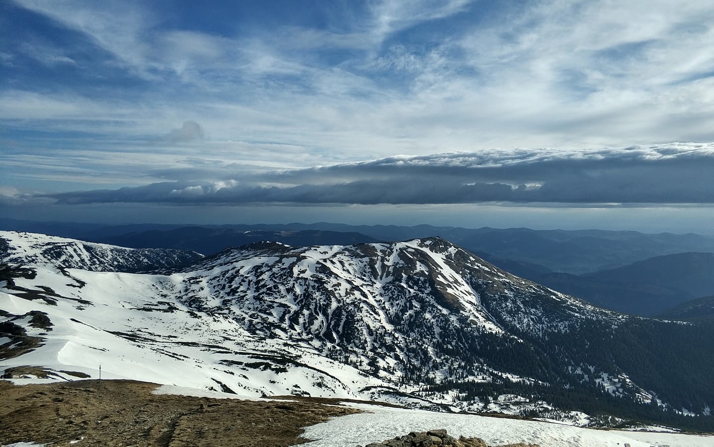 Зима відступає: у Карпатах стартувала справжня весна (фото)