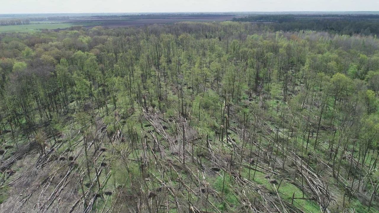 Під Житомиром пронісся руйнівний смерч: відео наслідків явища