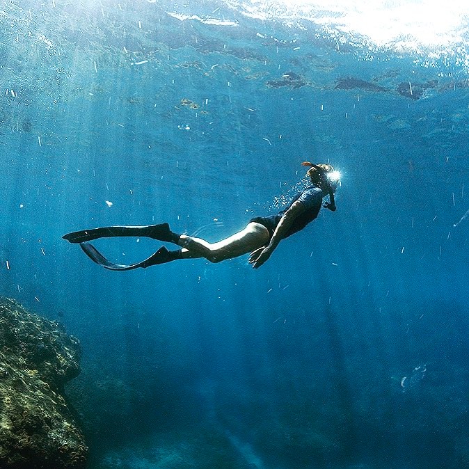 Что общего у Марго Робби и Барби: сравним параметры