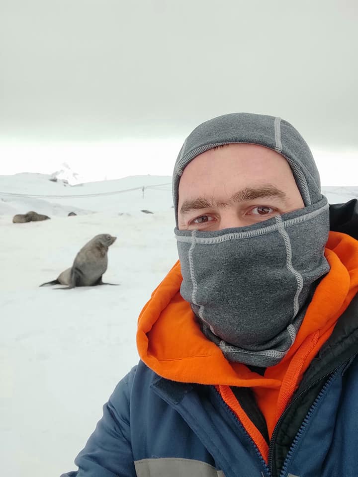 Українські полярники показали незвичайних гостей: припливли і влаштували лежбище
