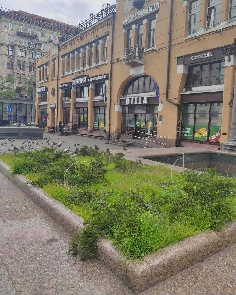 В центре Киева клумбу украсили колючей проволокой (фото)