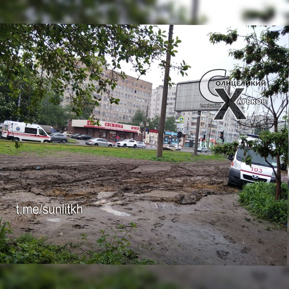 У Харкові швидка застрягла в болоті: містяни лютують (фото)