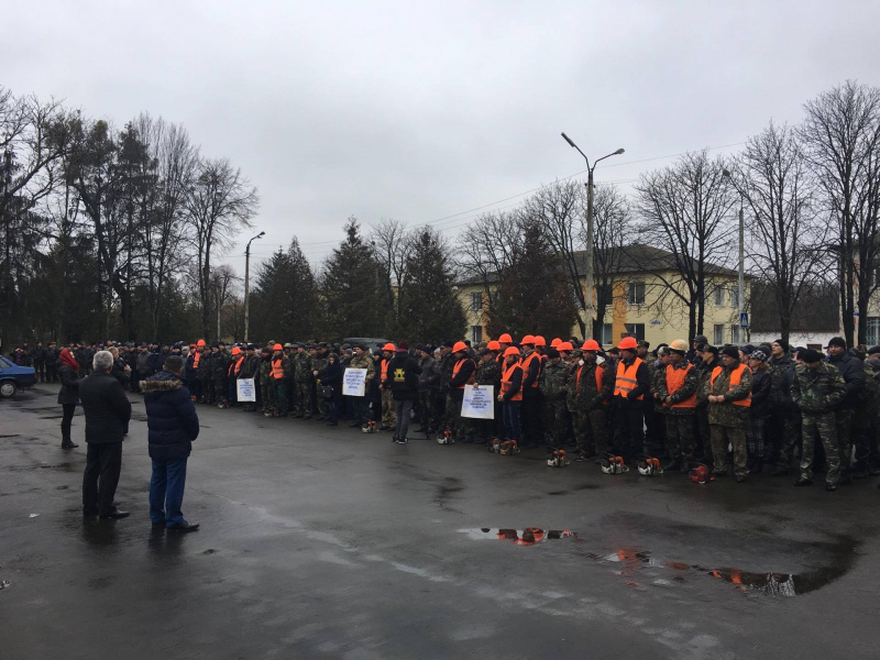В Украине проходят митинги с требованием не допустить приватизации лесов