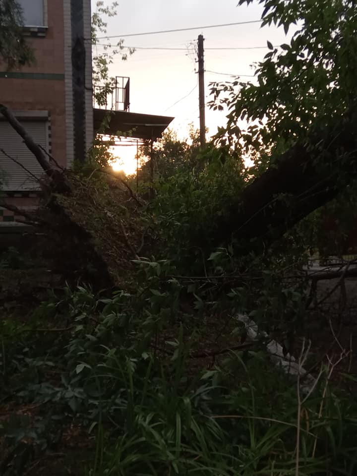 Ураган под Полтавой срывал крыши и деревья, пробивал ветвями авто и погрузил область во тьму