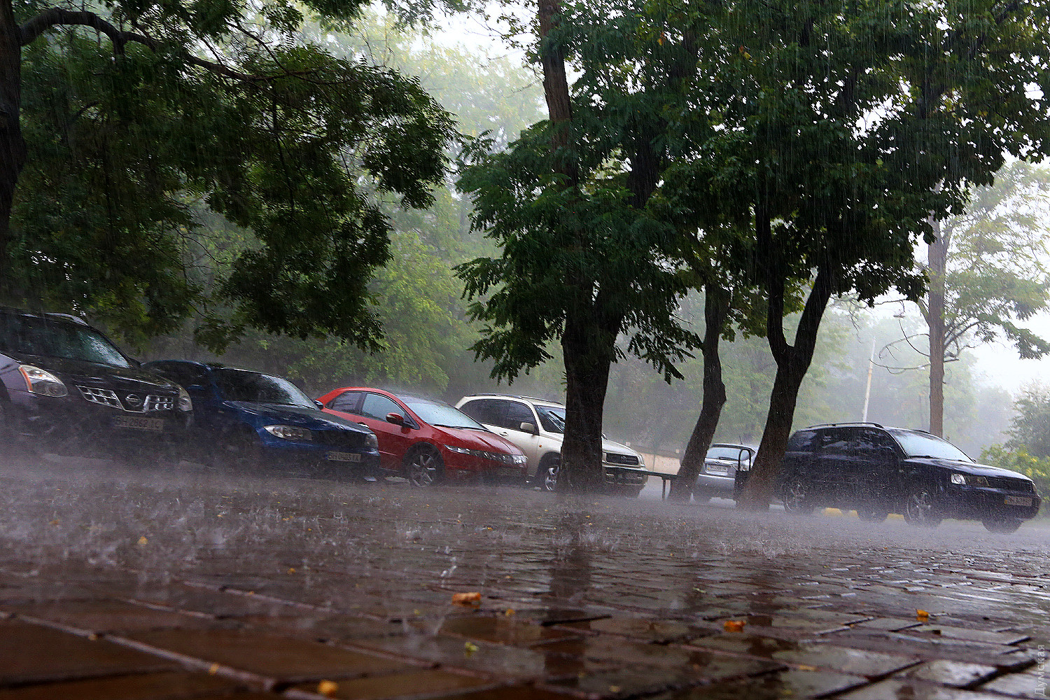 Одеса пішла під воду після потужної зливи: відео наслідків стихії
