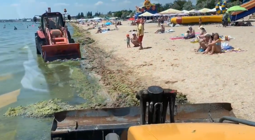 В Одесі з пляжів вивезли вантажівками 200 тонн токсичних водоростей: відео